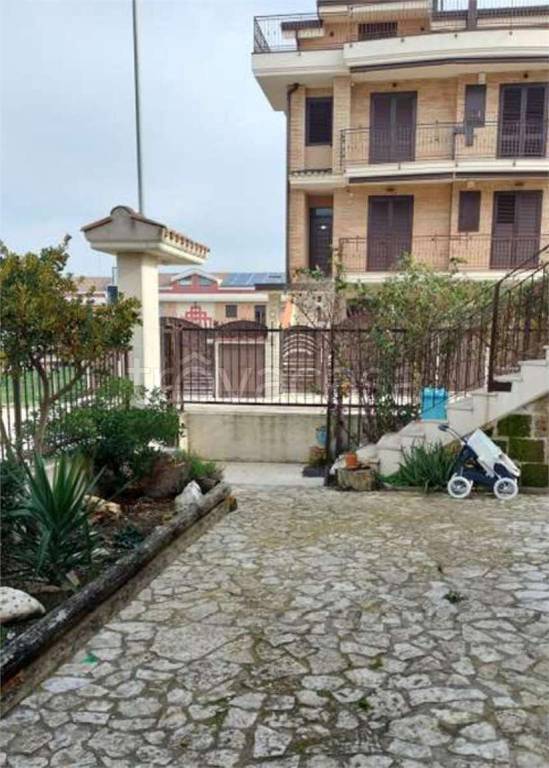 immagine annuncio 5 di 14