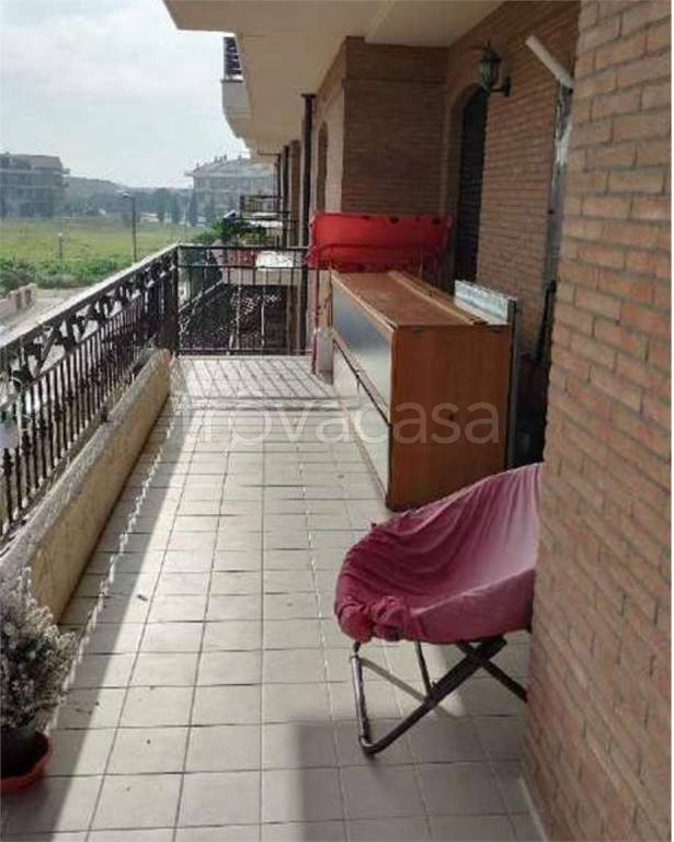 immagine annuncio 9 di 14