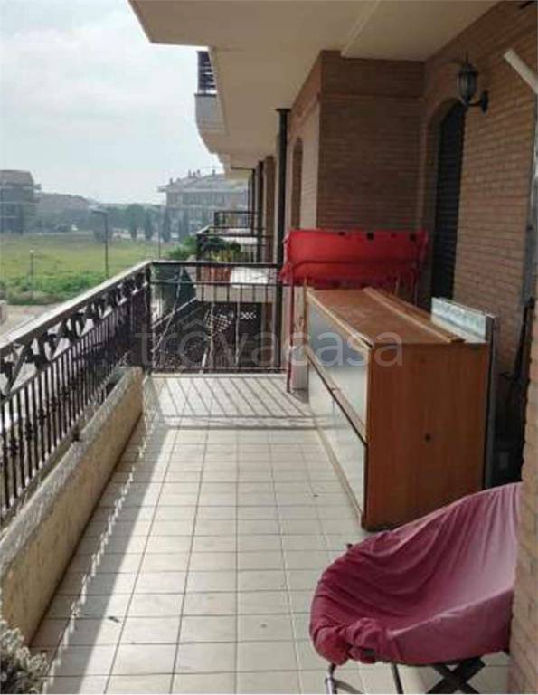 immagine annuncio 11 di 14