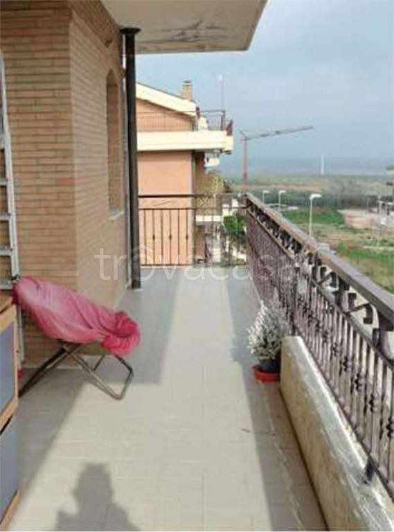 immagine annuncio 12 di 14