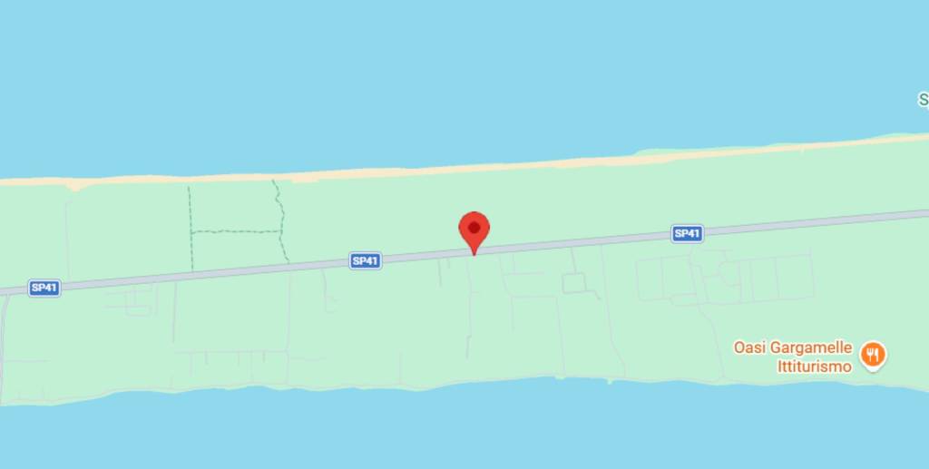 immagine annuncio 3 di 10