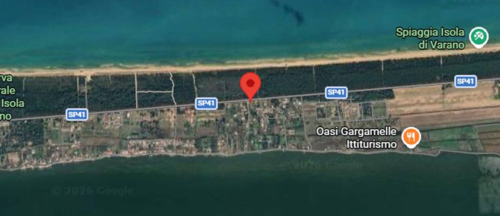 immagine annuncio 4 di 10