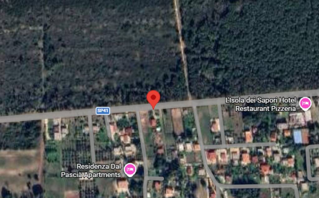 immagine annuncio 6 di 10