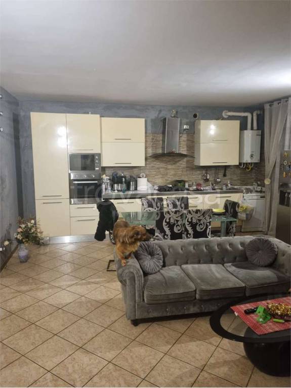 immagine annuncio 5 di 9