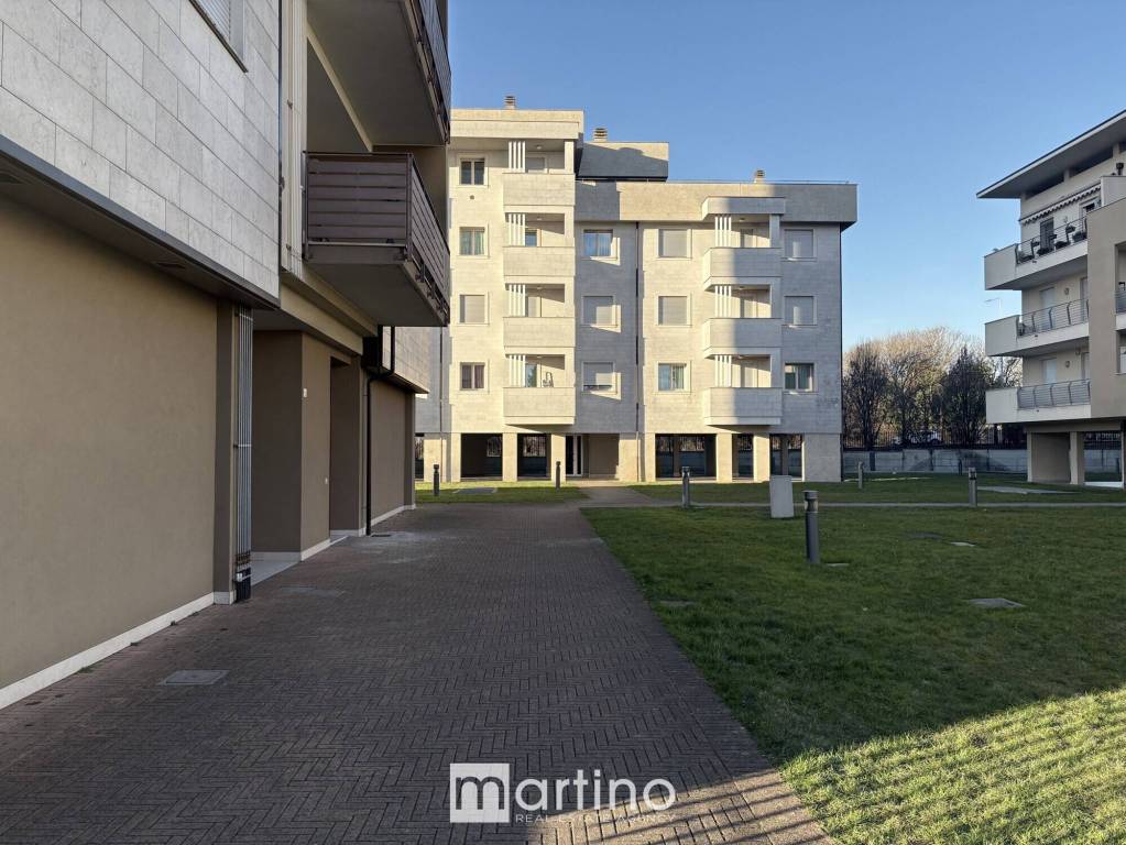 immagine annuncio 6 di 15