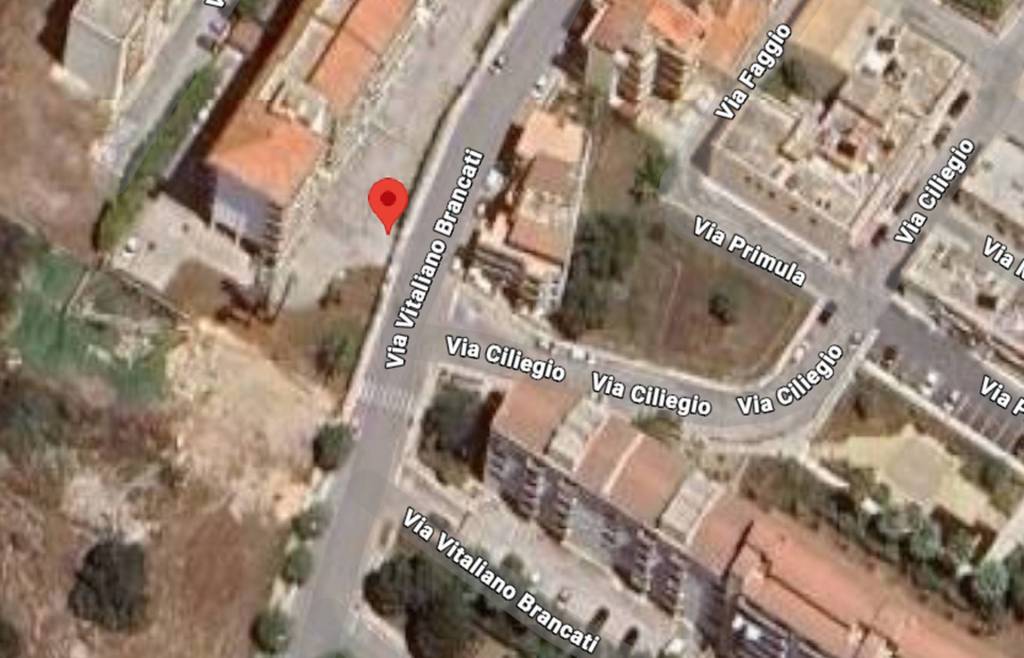 immagine annuncio 5 di 11