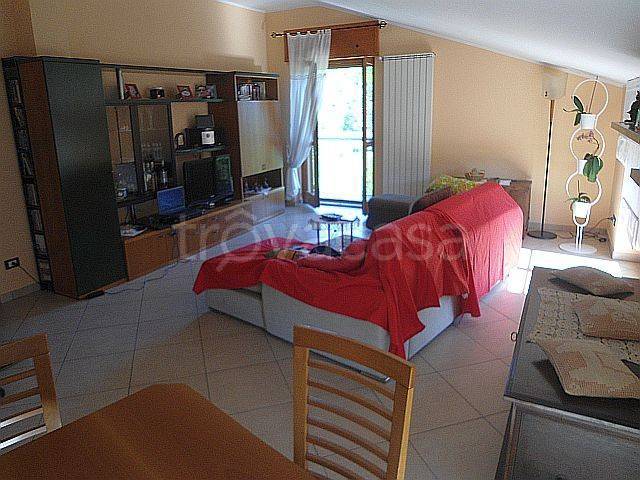 immagine annuncio 3 di 8