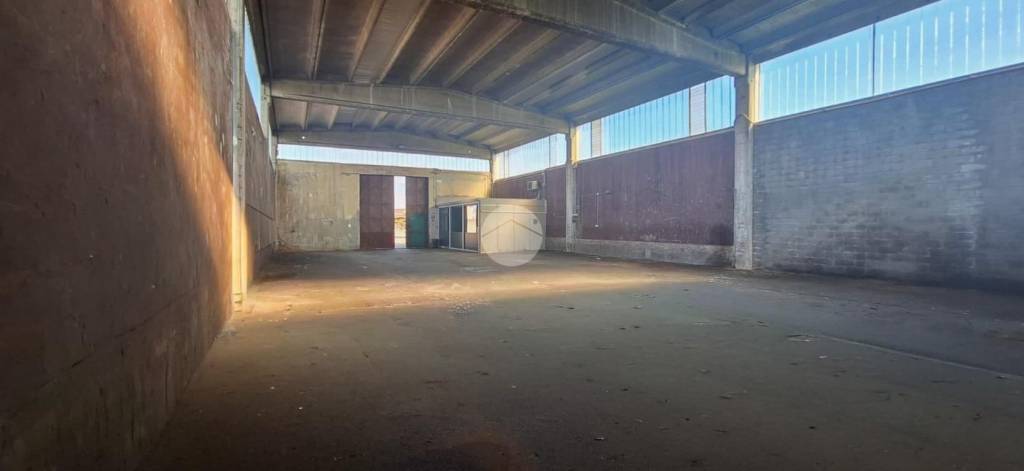 immagine annuncio 4 di 13