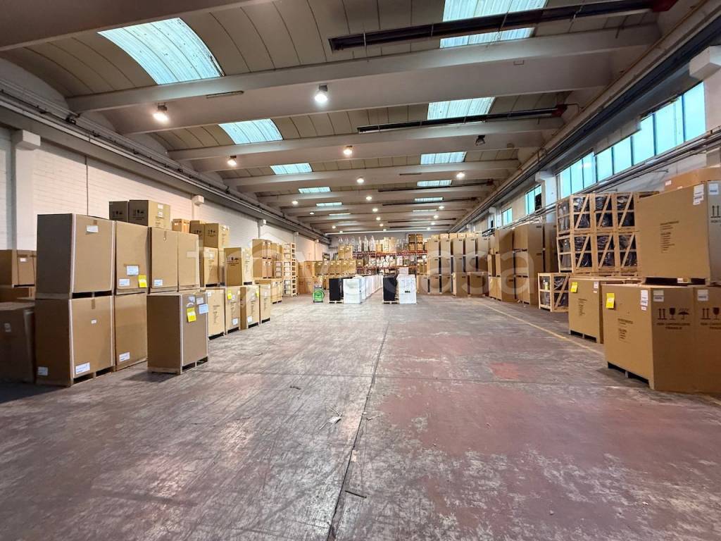 immagine annuncio 2 di 6