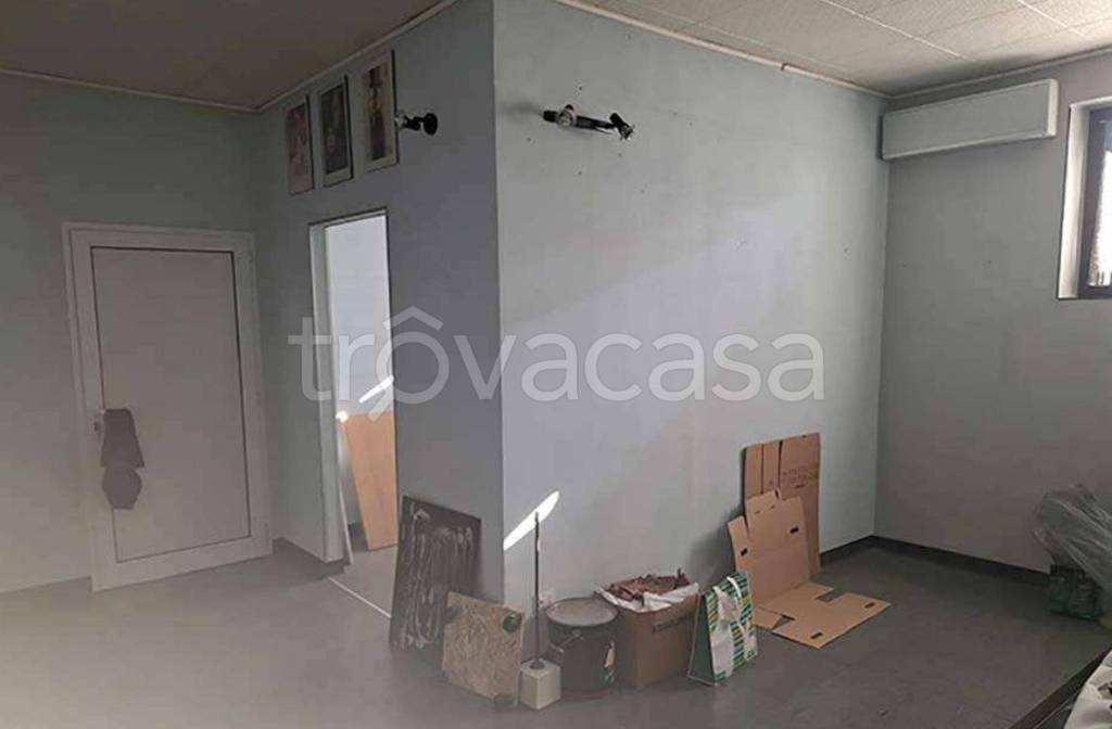 immagine annuncio 6 di 11