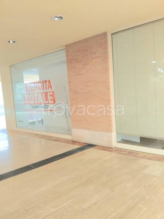 immagine annuncio 2 di 7