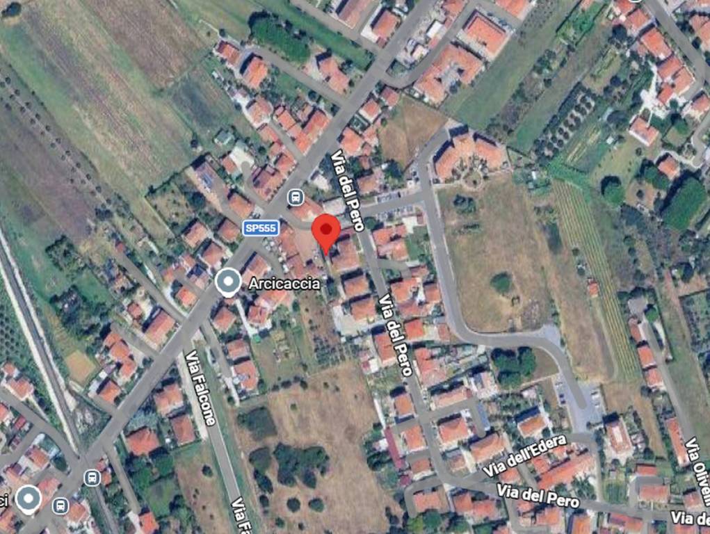 immagine annuncio 2 di 11