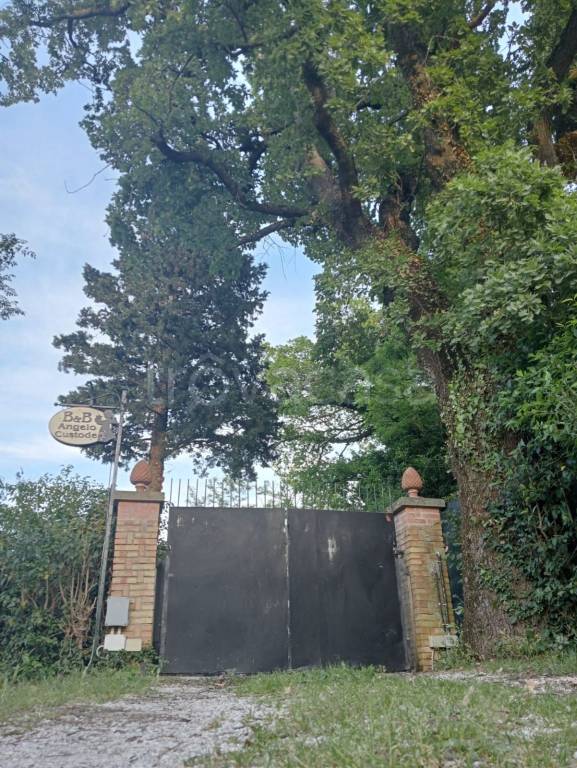 immagine annuncio 13 di 14