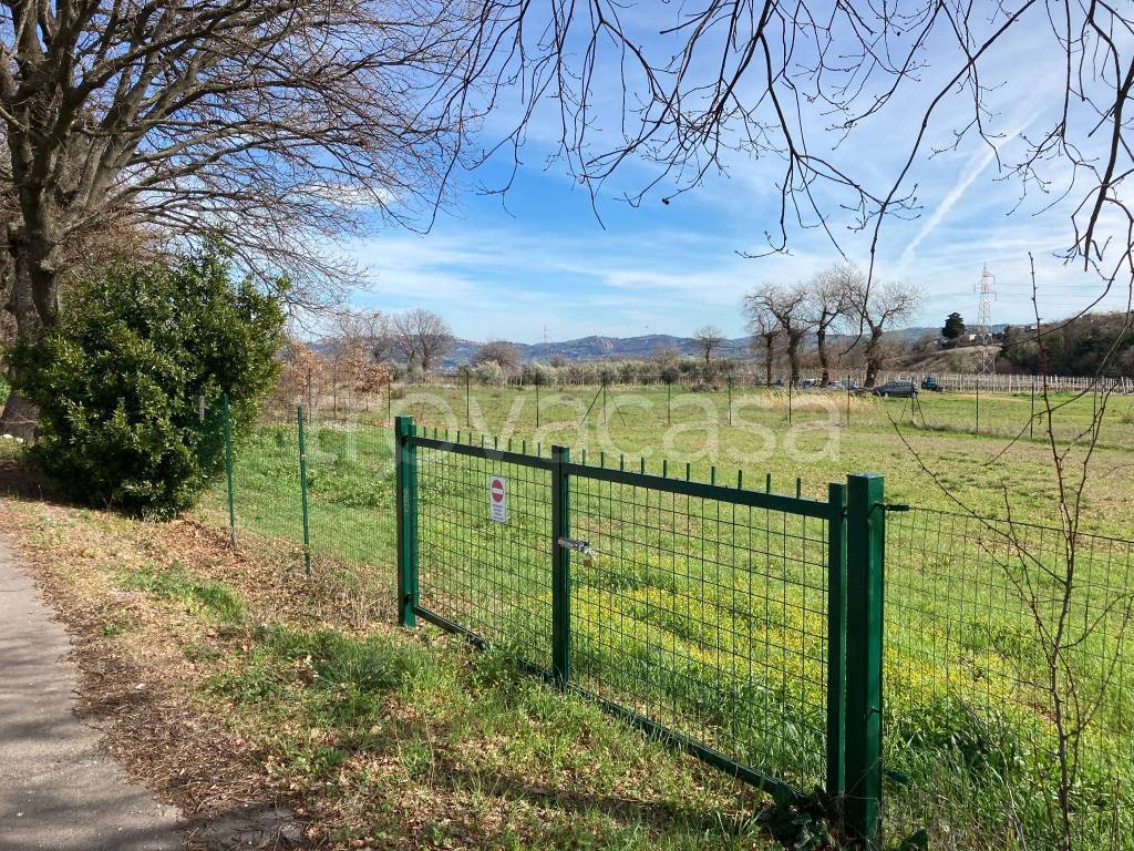 immagine annuncio 5 di 11