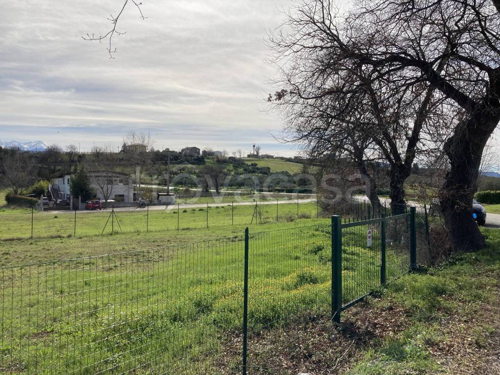 immagine annuncio 6 di 11