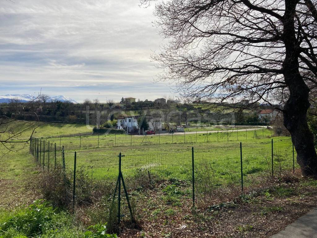 immagine annuncio 7 di 11