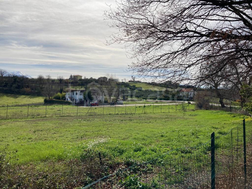 immagine annuncio 8 di 11