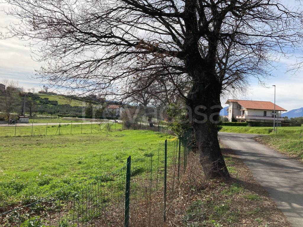 immagine annuncio 9 di 11