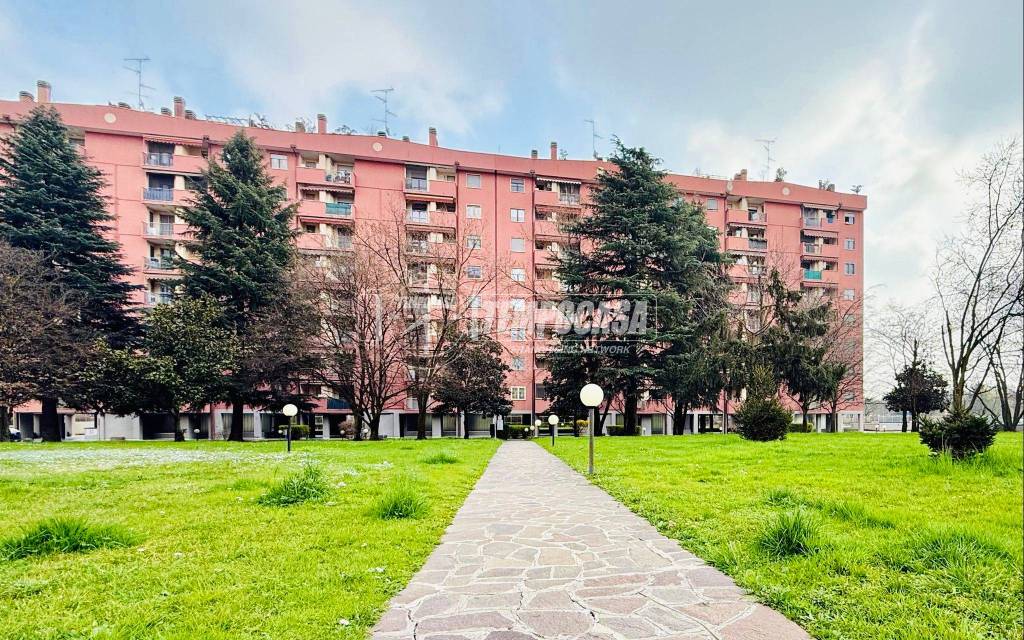 immagine annuncio 9 di 11