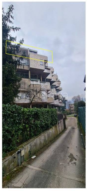 immagine annuncio 5 di 15