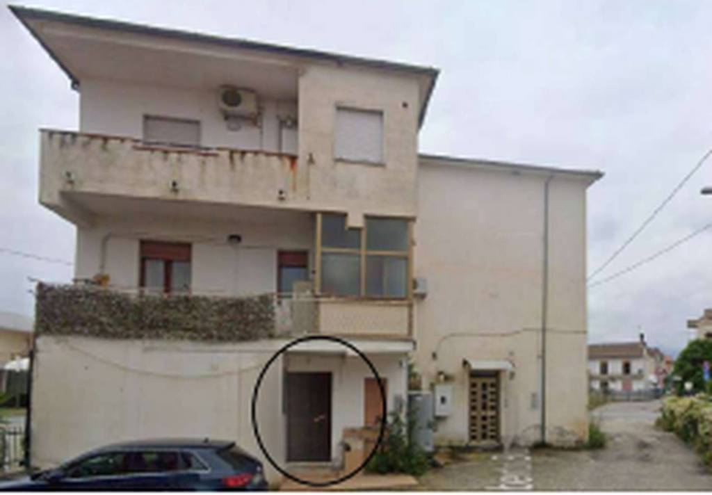 immagine annuncio 1 di 11