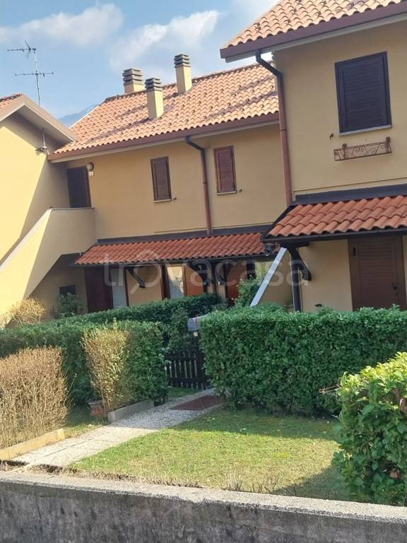 immagine annuncio 3 di 11