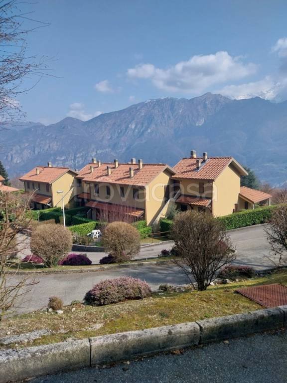 immagine annuncio 5 di 11