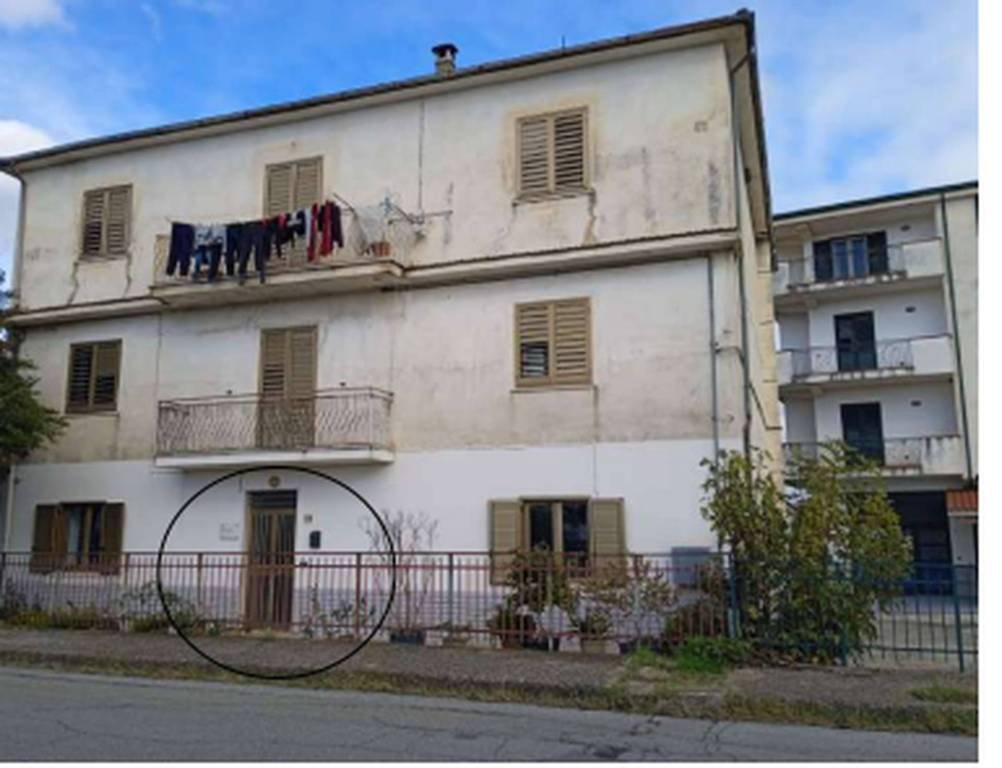 immagine annuncio 1 di 12