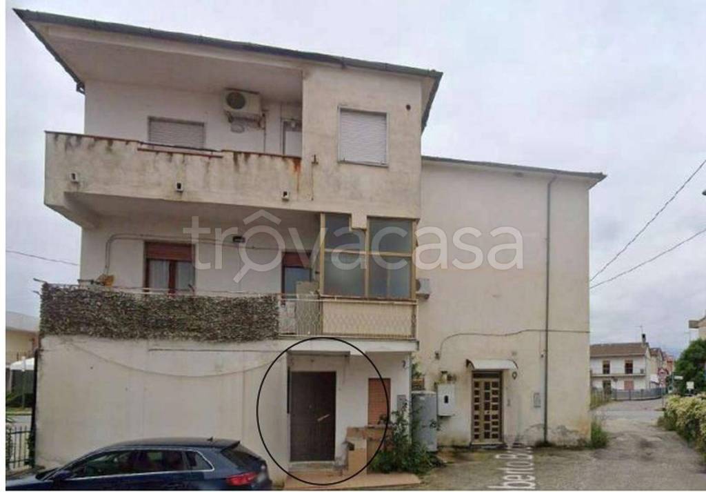 immagine annuncio 3 di 11