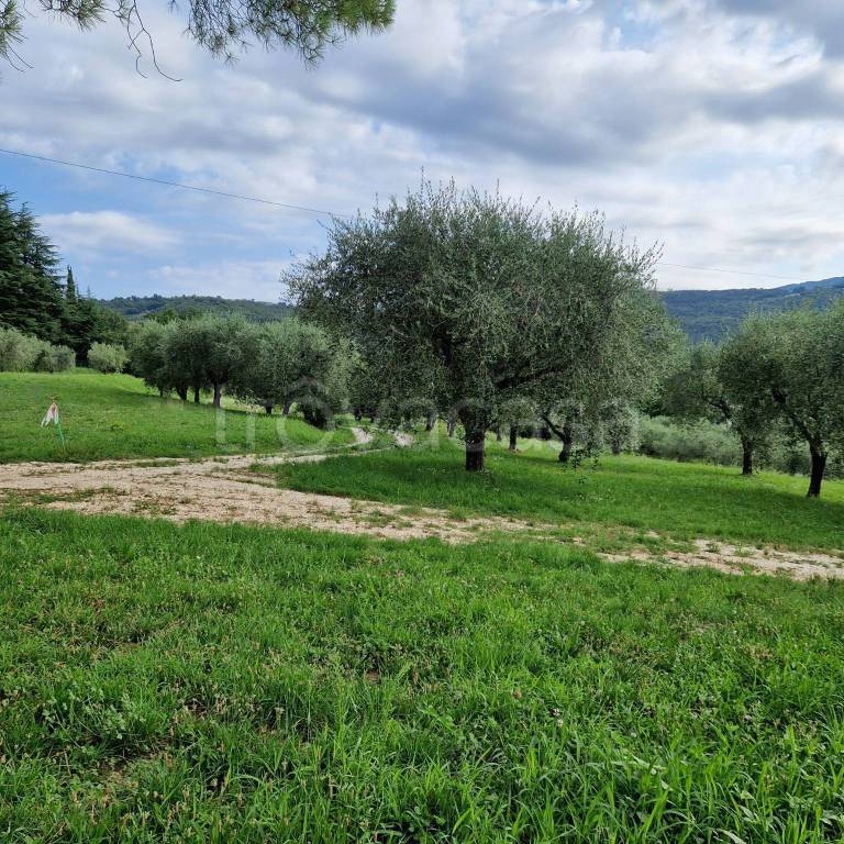 immagine annuncio 3 di 6