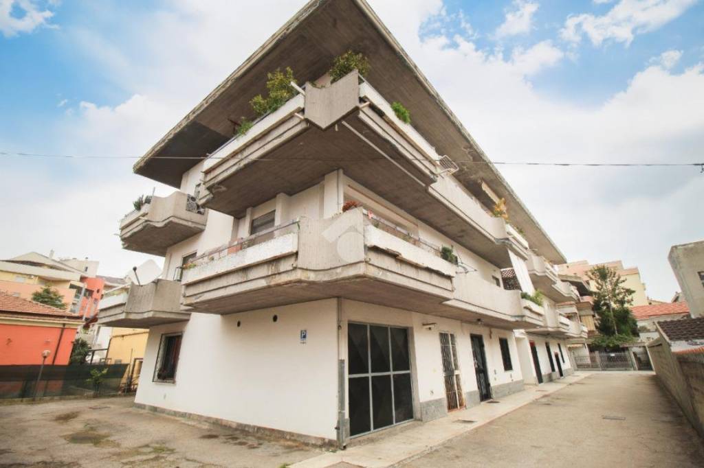 immagine annuncio 1 di 12