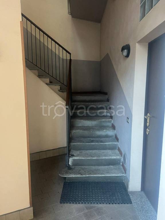 immagine annuncio 7 di 14