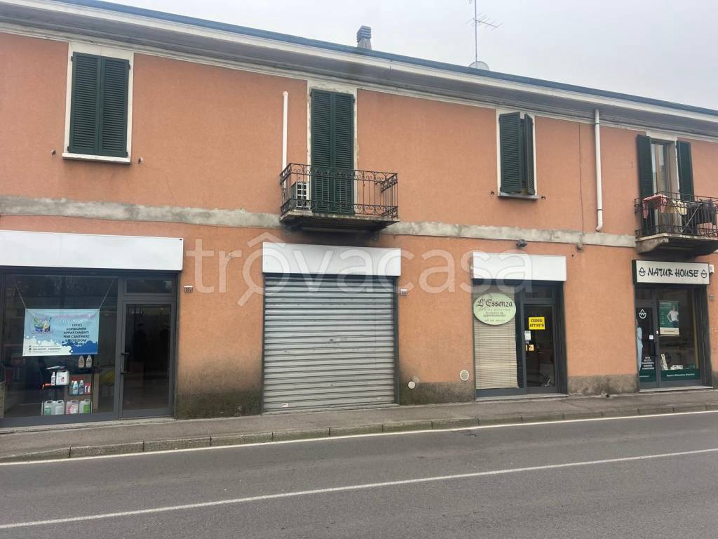 immagine annuncio 9 di 14