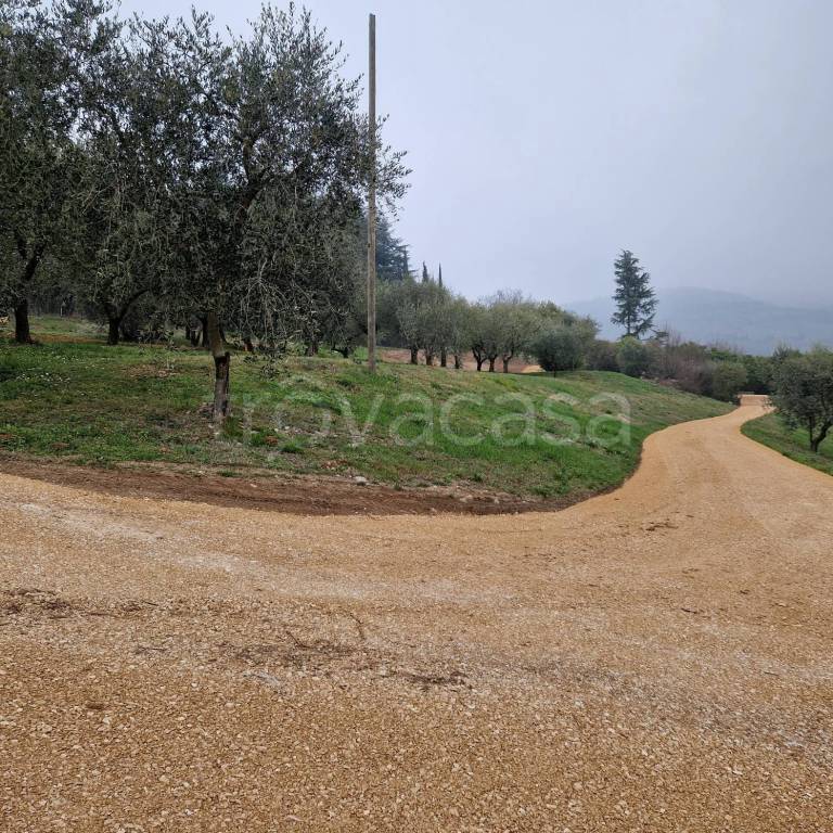 immagine annuncio 4 di 6