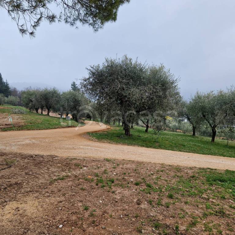 immagine annuncio 5 di 6