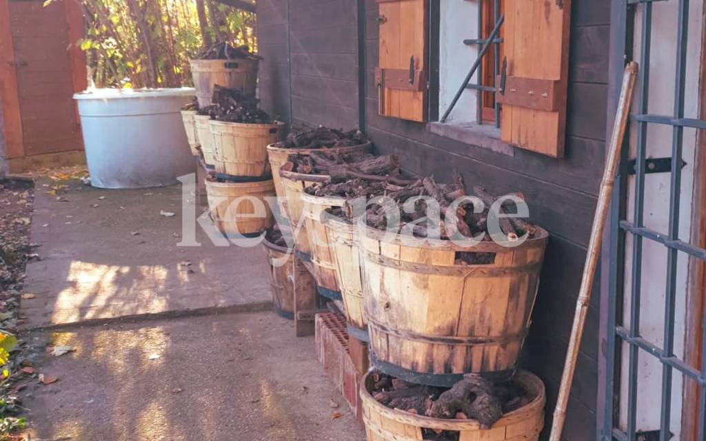 immagine annuncio 8 di 12