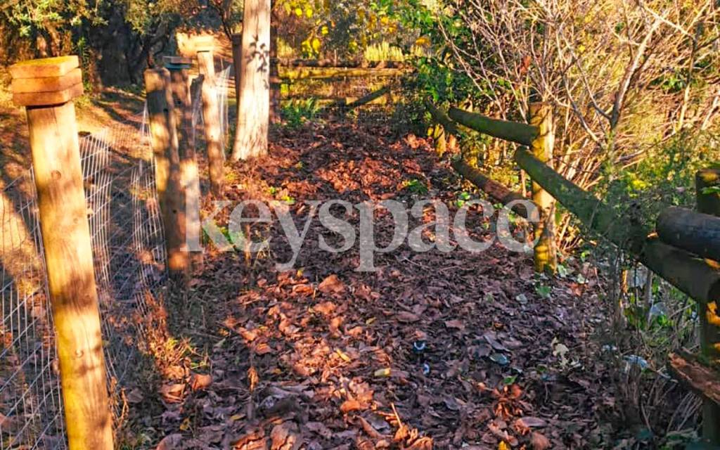 immagine annuncio 4 di 12