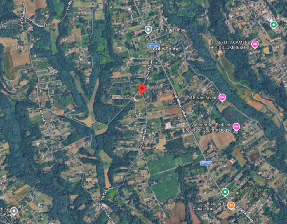 immagine annuncio 9 di 10