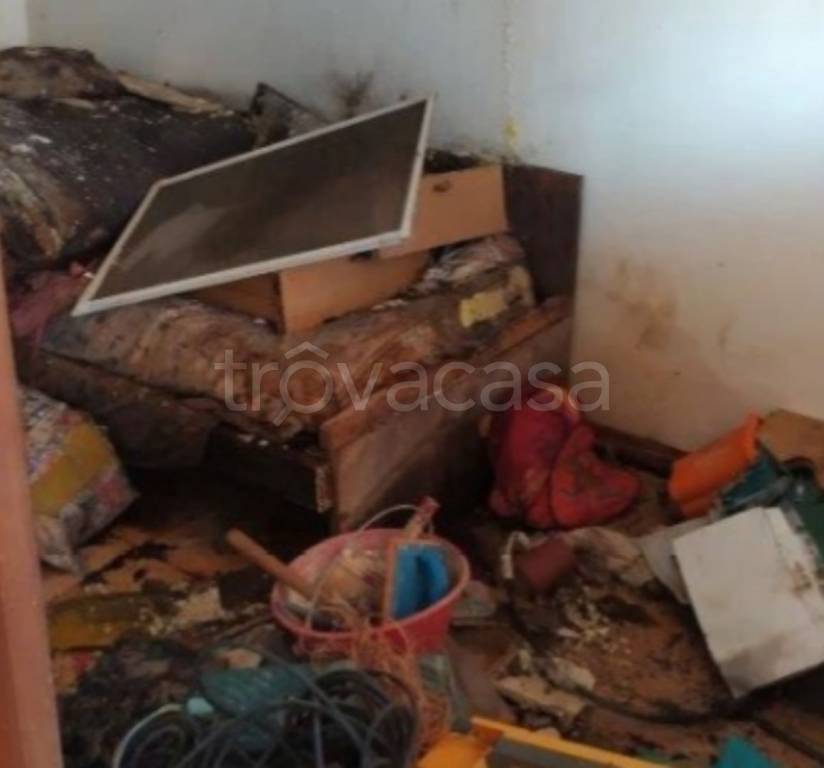 immagine annuncio 9 di 14