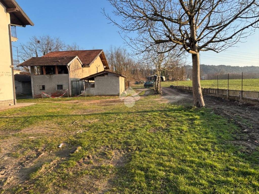 immagine annuncio 3 di 15