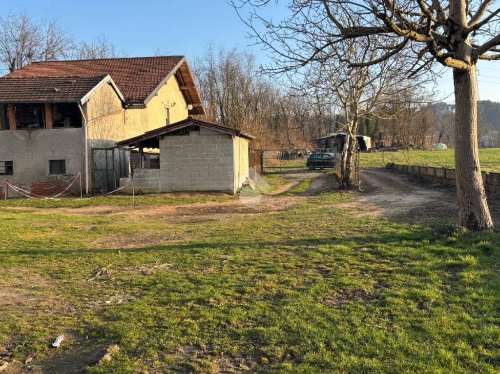 immagine annuncio 9 di 15