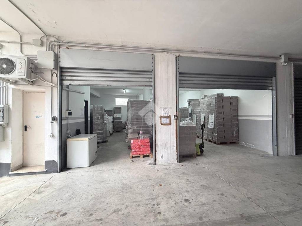 immagine annuncio 2 di 11