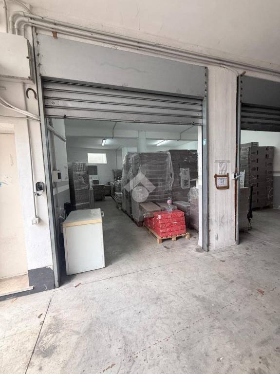 immagine annuncio 3 di 11