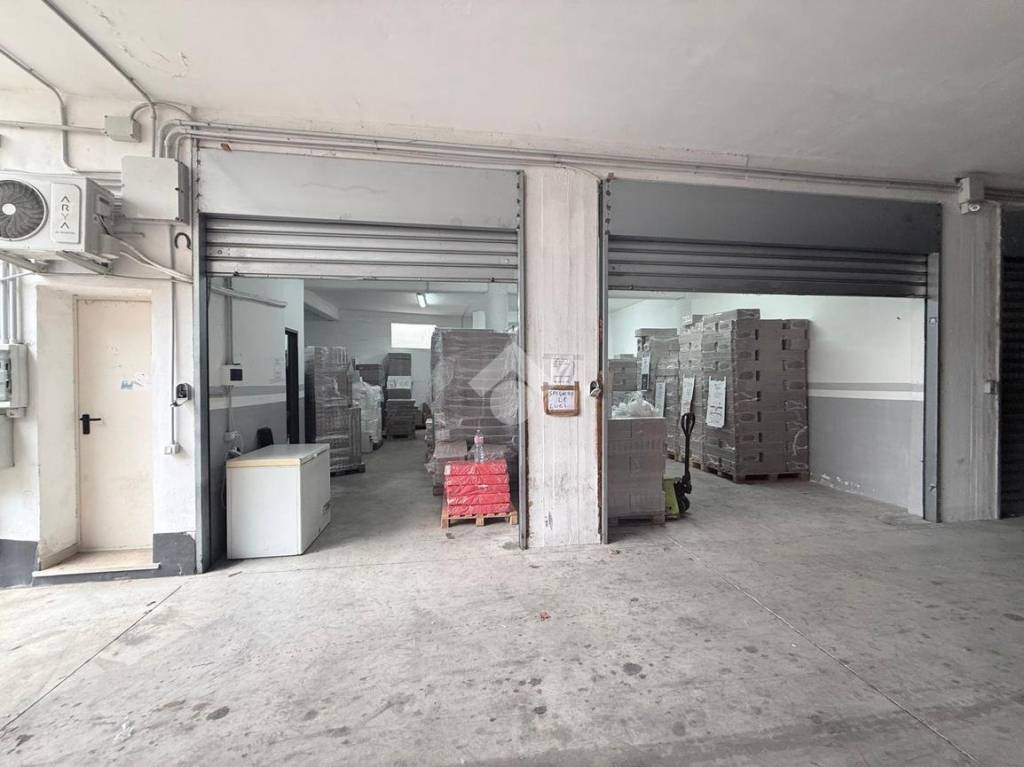 immagine annuncio 4 di 11