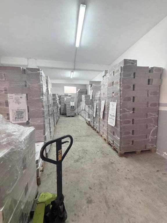 immagine annuncio 5 di 11