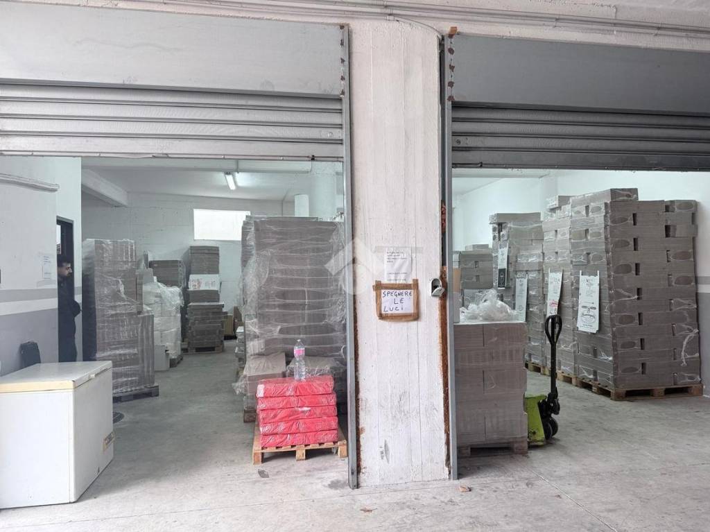 immagine annuncio 7 di 11