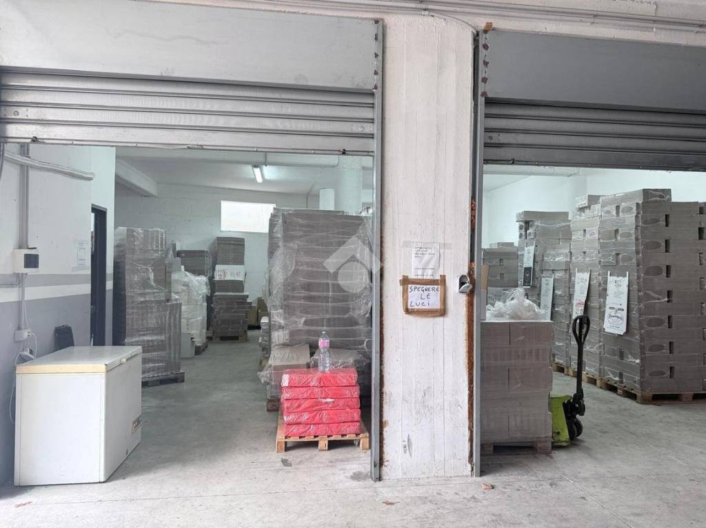 immagine annuncio 9 di 11