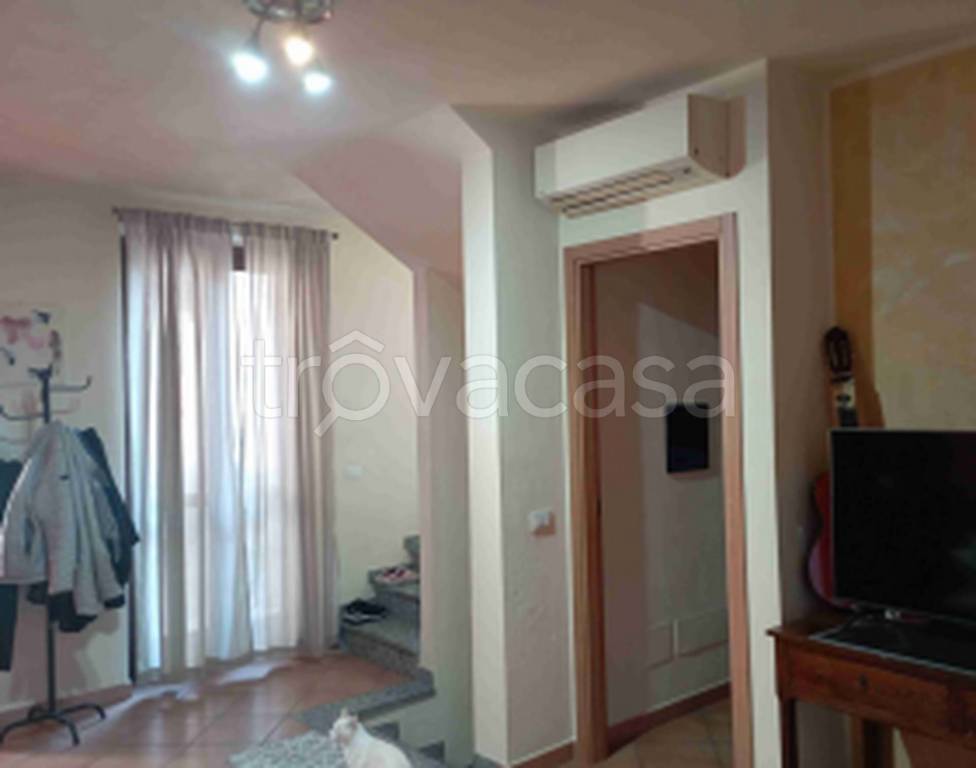 immagine annuncio 3 di 11