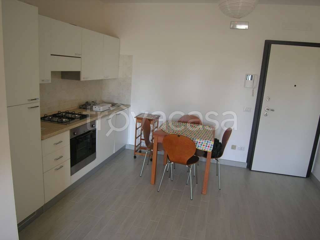 immagine annuncio 2 di 12