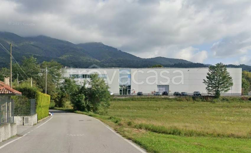 immagine annuncio 5 di 9